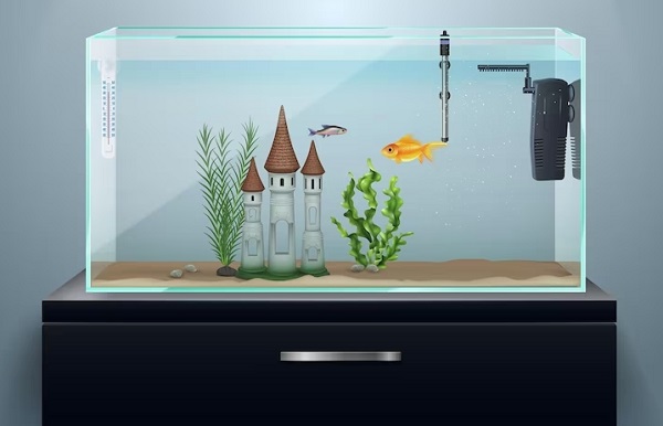 Reputable Fish Tank Maintenance Service