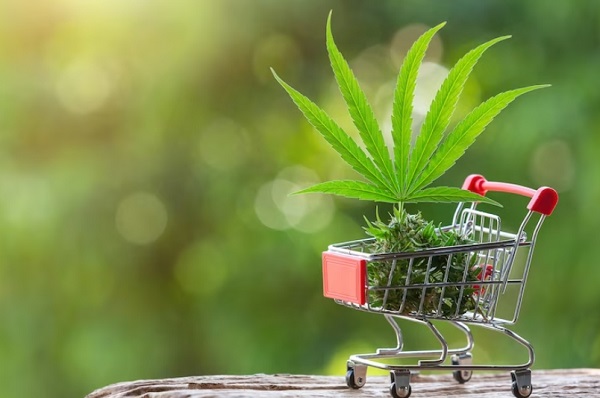 Cheap Weed Stocks: The Best Marijuana Stocks Under $10 for 2019