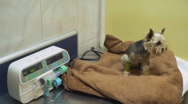 INFUSION PUMPS For animal