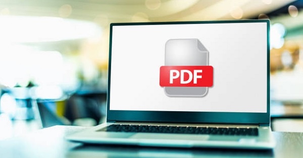 PDF open in laptop