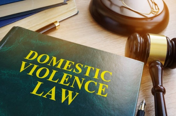 Domestic Violence law