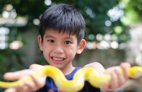 kid hand holding a snake