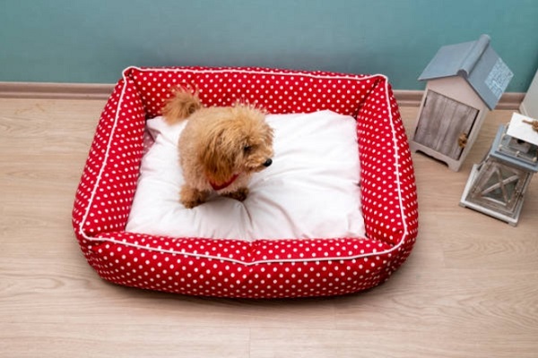 Acrylic Dog Beds