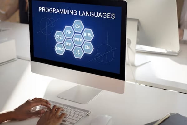 person use computer and study a Programming Languages