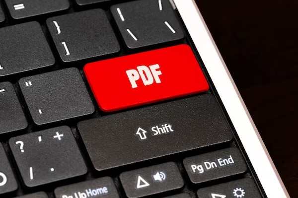 PDF download button