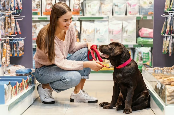 What to Look for When Shopping for Pet Supplements