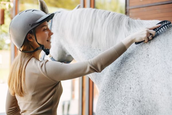 A gril clean the horse