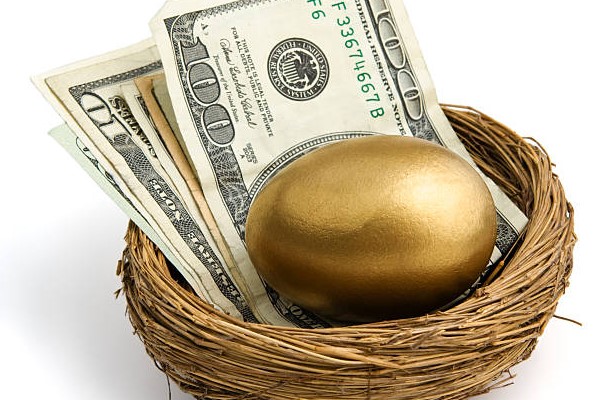 Dollar note and nest egg