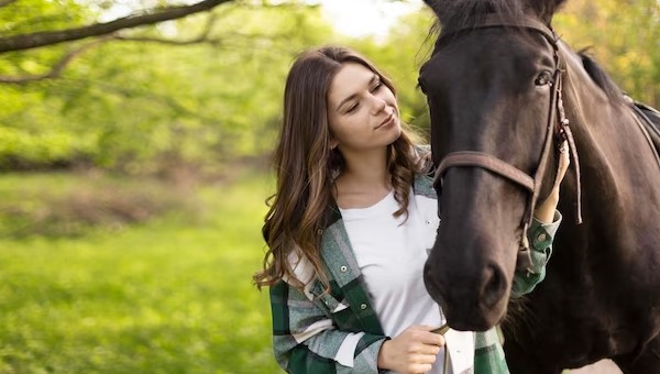 Owning a Horse: A Beginner’s Guide