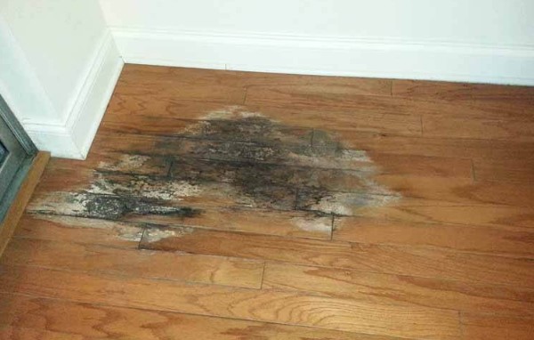 wood floor damage due to water