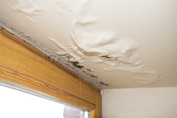 Ceiling Bubble in Your Home