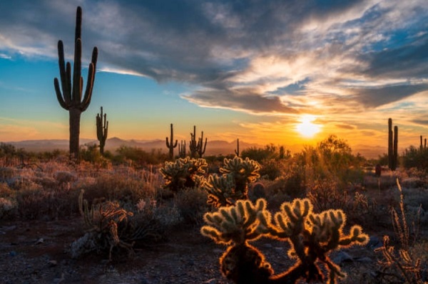 Discovering the Beauty of Arizona: 4 of the State’s Most Picturesque Locations