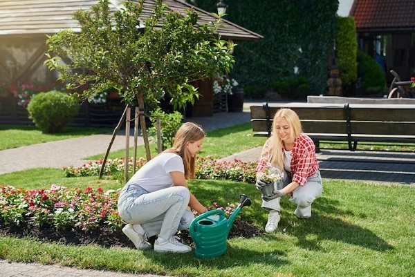 Feed Your Lawn