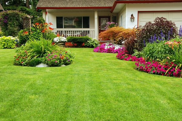 5 Simple Tips for Maintaining Green Lawns