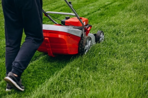 Professional Commercial Lawn Care