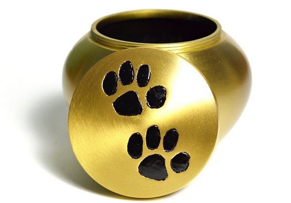 3 Ways to Store Pet Ashes