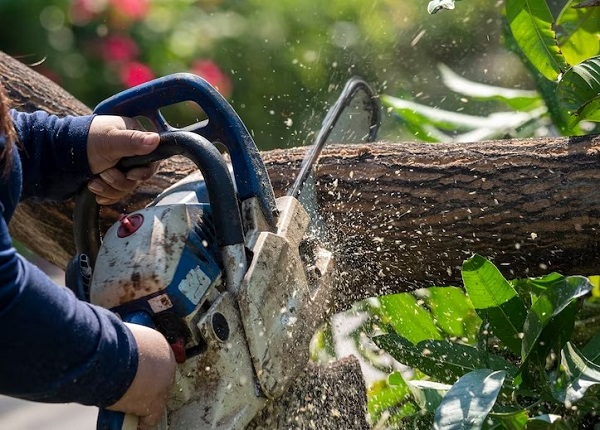 WOOD CUTTING GEAR