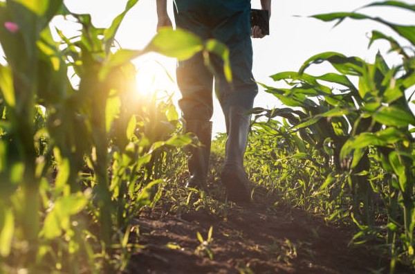 farmer