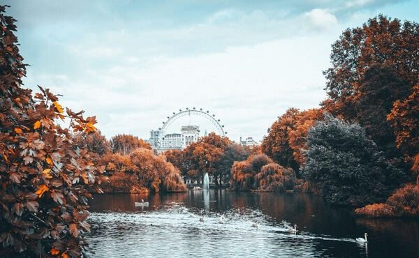 Autumn Edinburgh