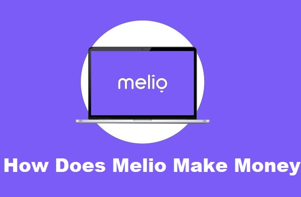 How Does Melio Make Money