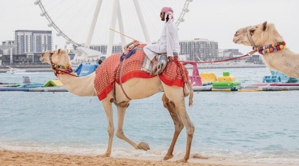 Arabian-Adventures-in-Dubai