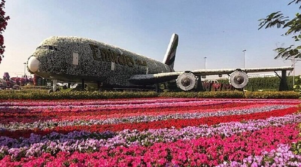 Best Time to Visit Miracle Garden Dubai
