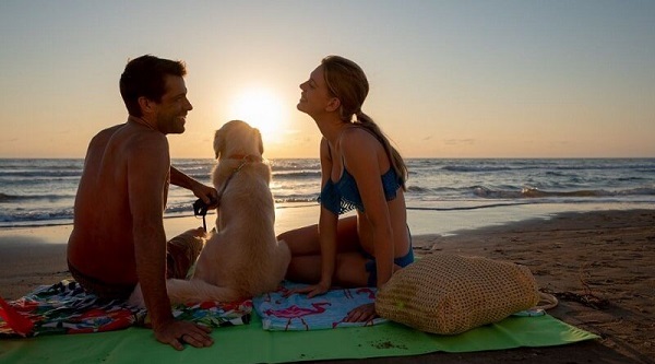 Where Can You Enjoy Dog-Friendly Beaches in Dubai?