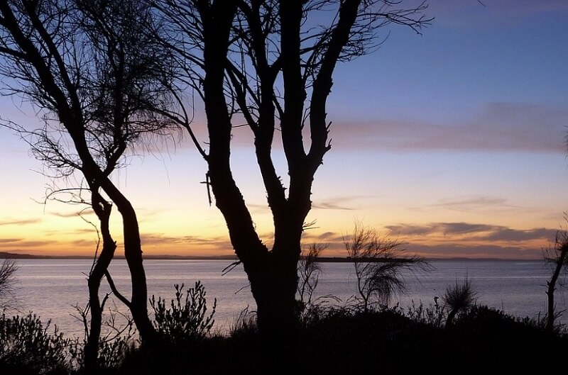Coffin Bay Oyster Walk