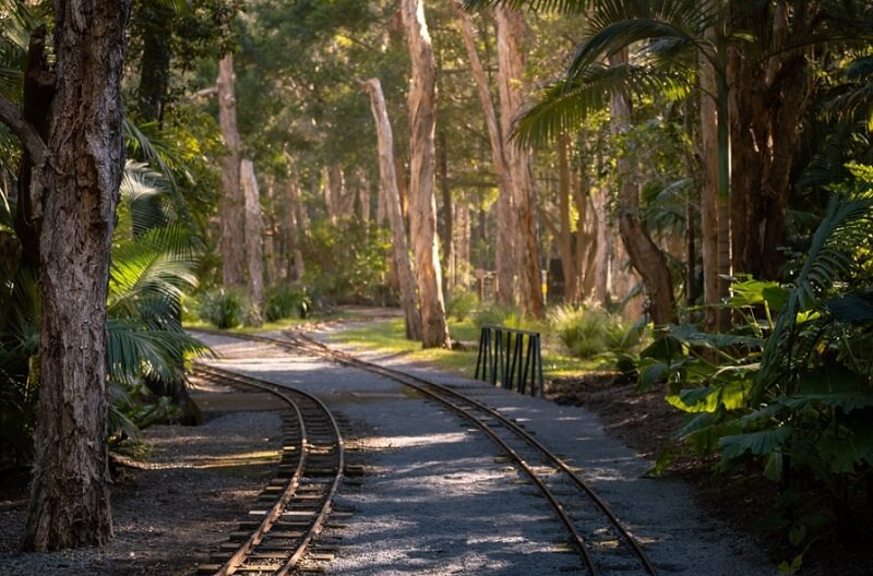 Currumbin Wildlife Sanctuary