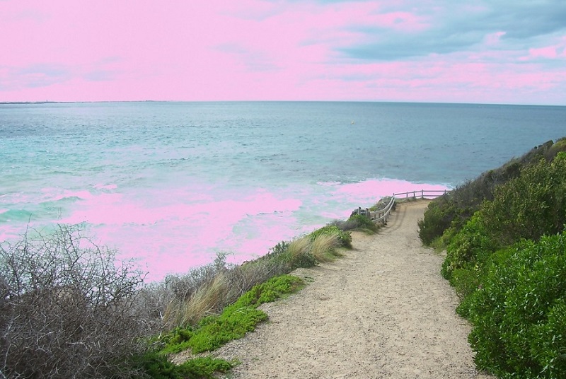 Unusual Things to do Mornington Peninsula