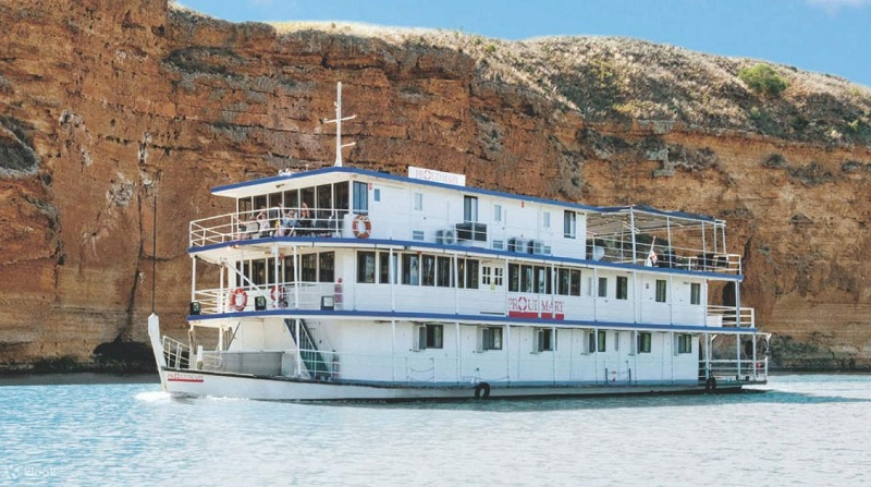 Murray River Scenic Hydrofoil Ride