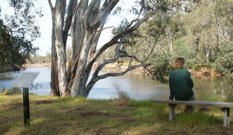 Murray Valley Regional Park Riverfront Walks