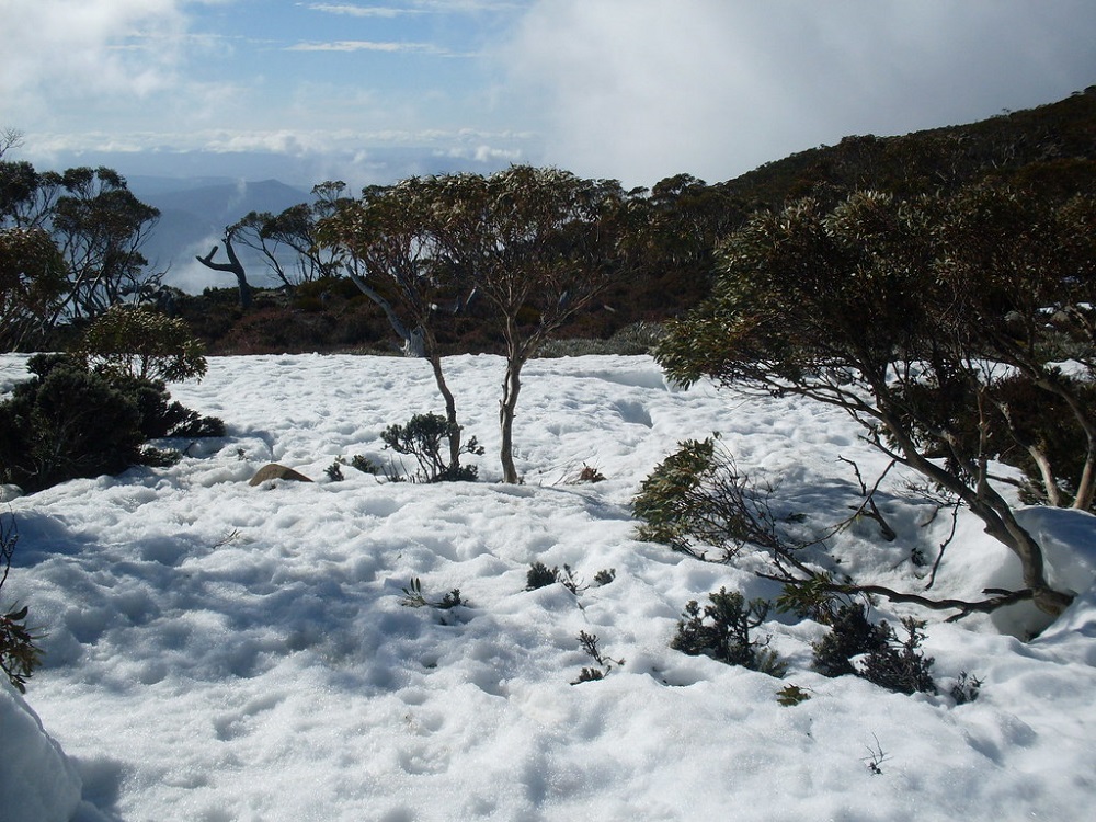 Unique Aspects of Snow in Australia