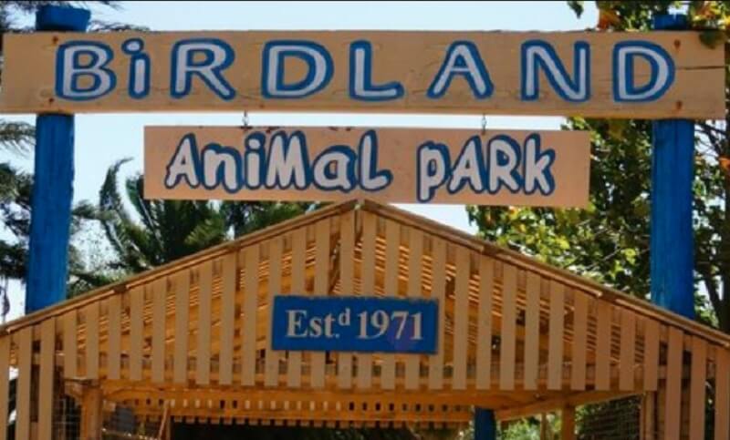Birdland animal park
