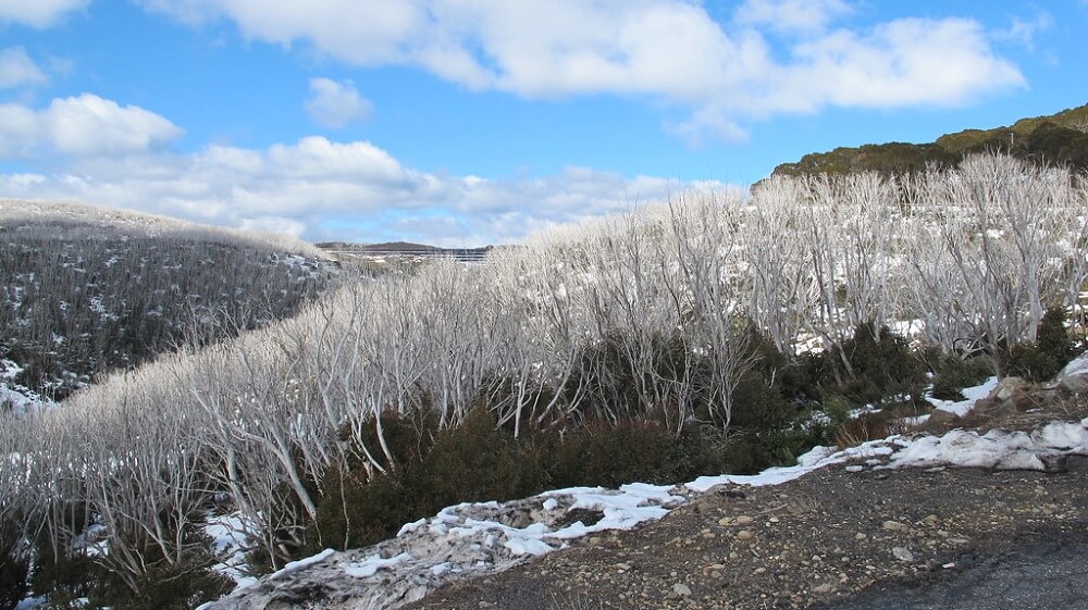 Falls Creek in Australia