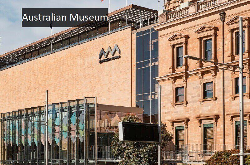 Australian Museum after Dark
