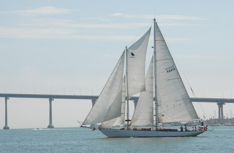 Festival of Sails