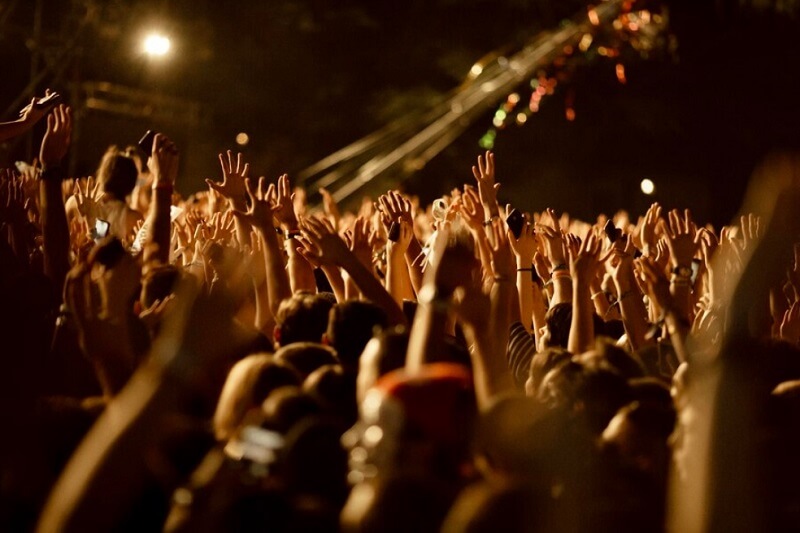 people enjoying concert