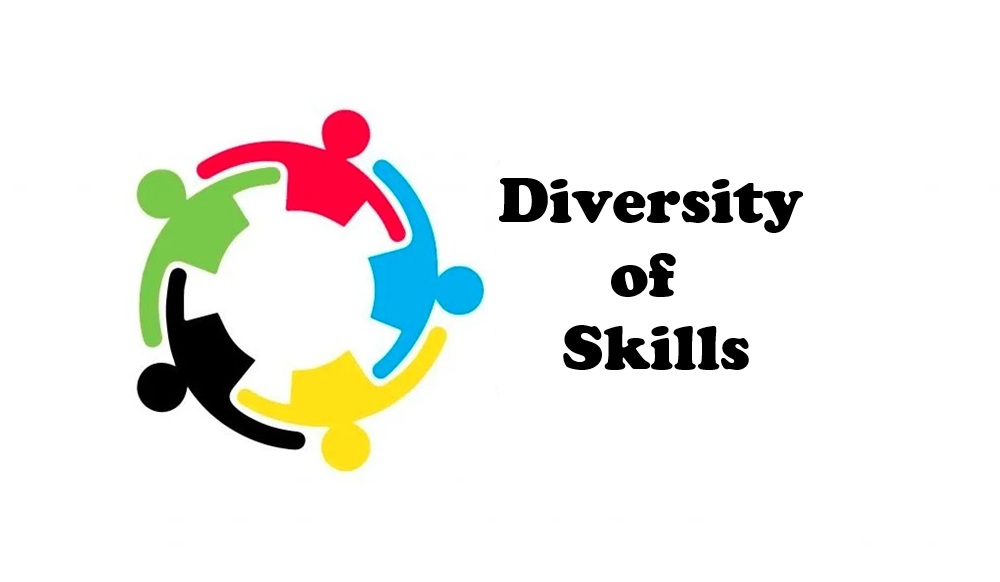 Diversity of Skills