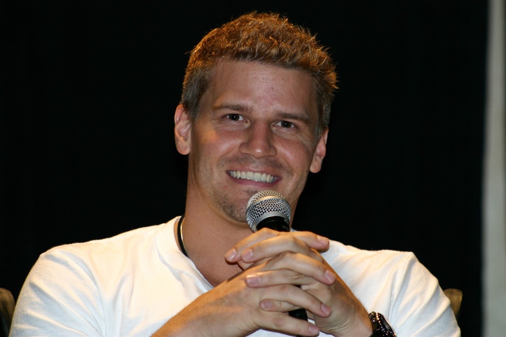 David-Boreanaz-Worth