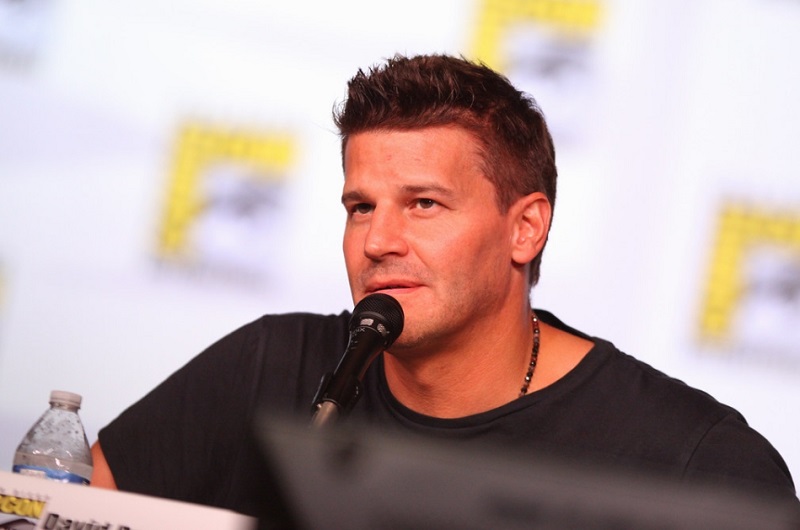 David Boreanaz Wife: Who Is Jaime Bergman? Marriage, Career, Net Worth & 2024 Updates
